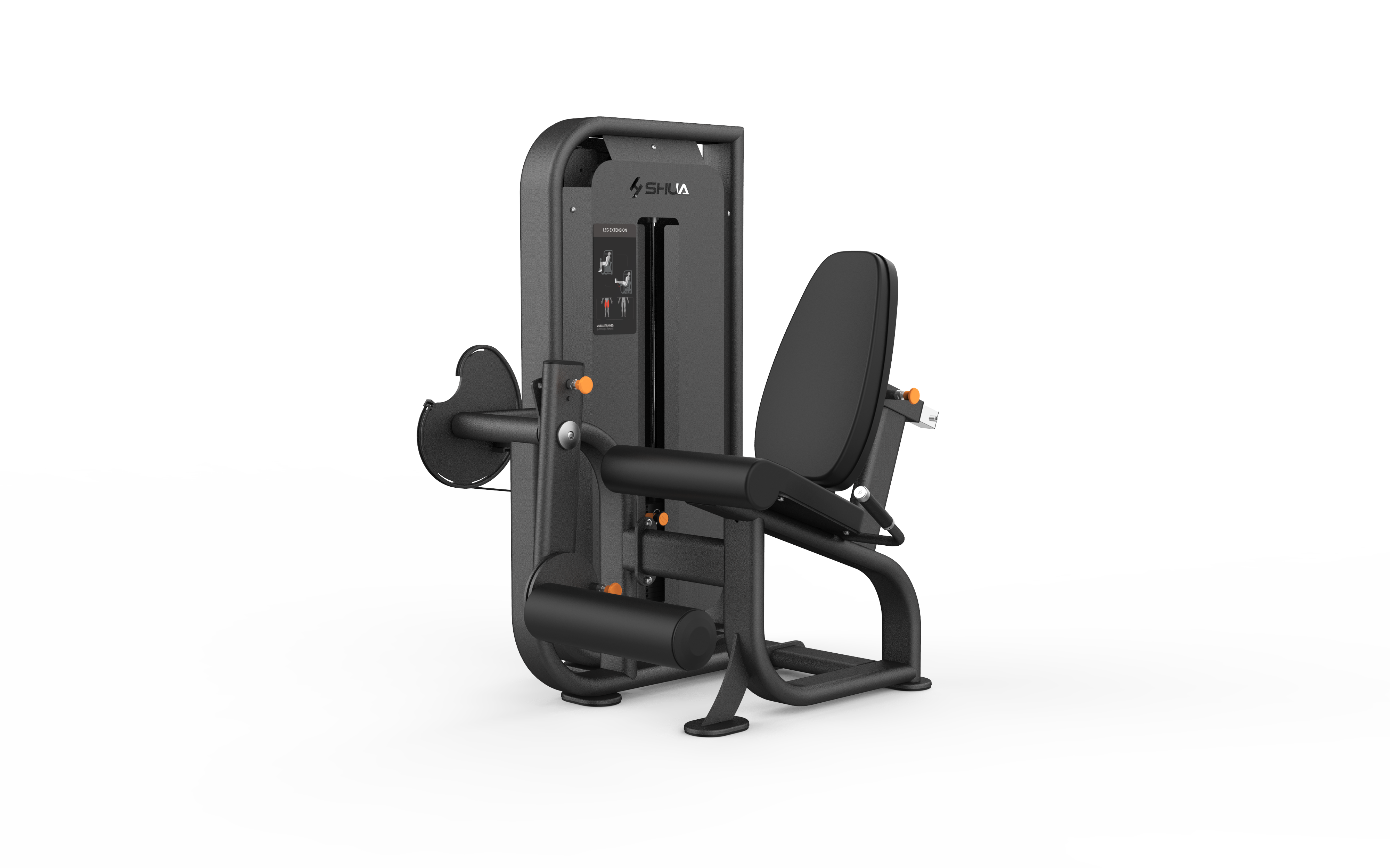 Leg Extension