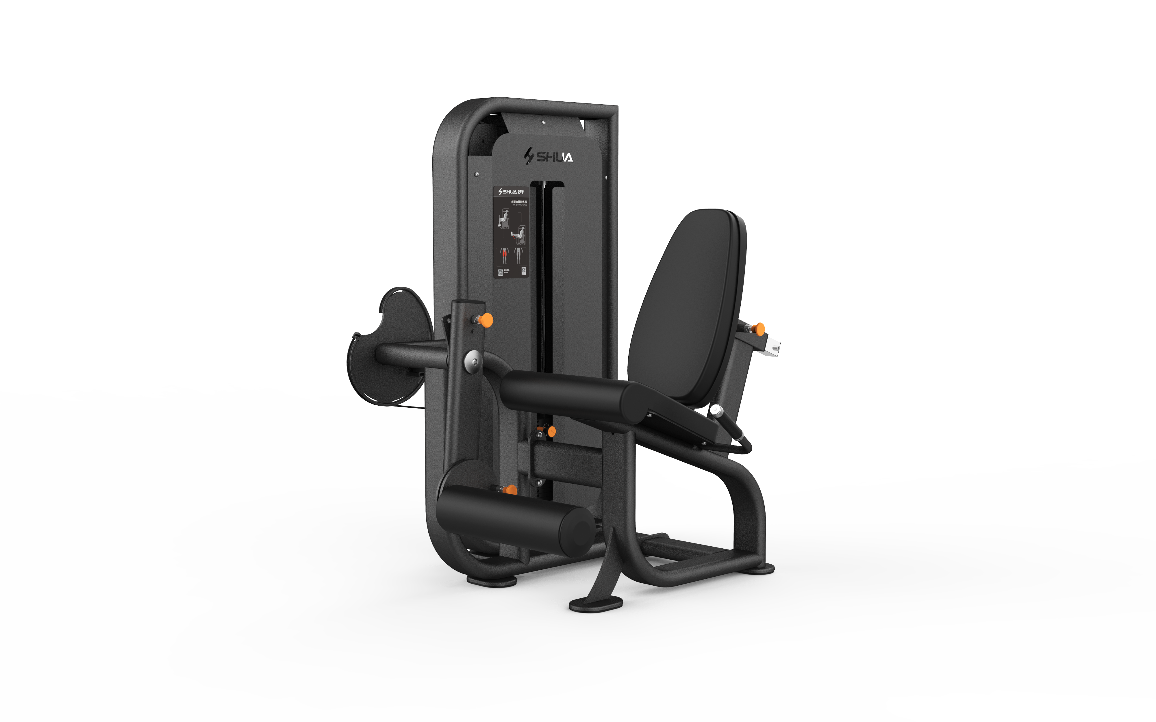 Leg Extension