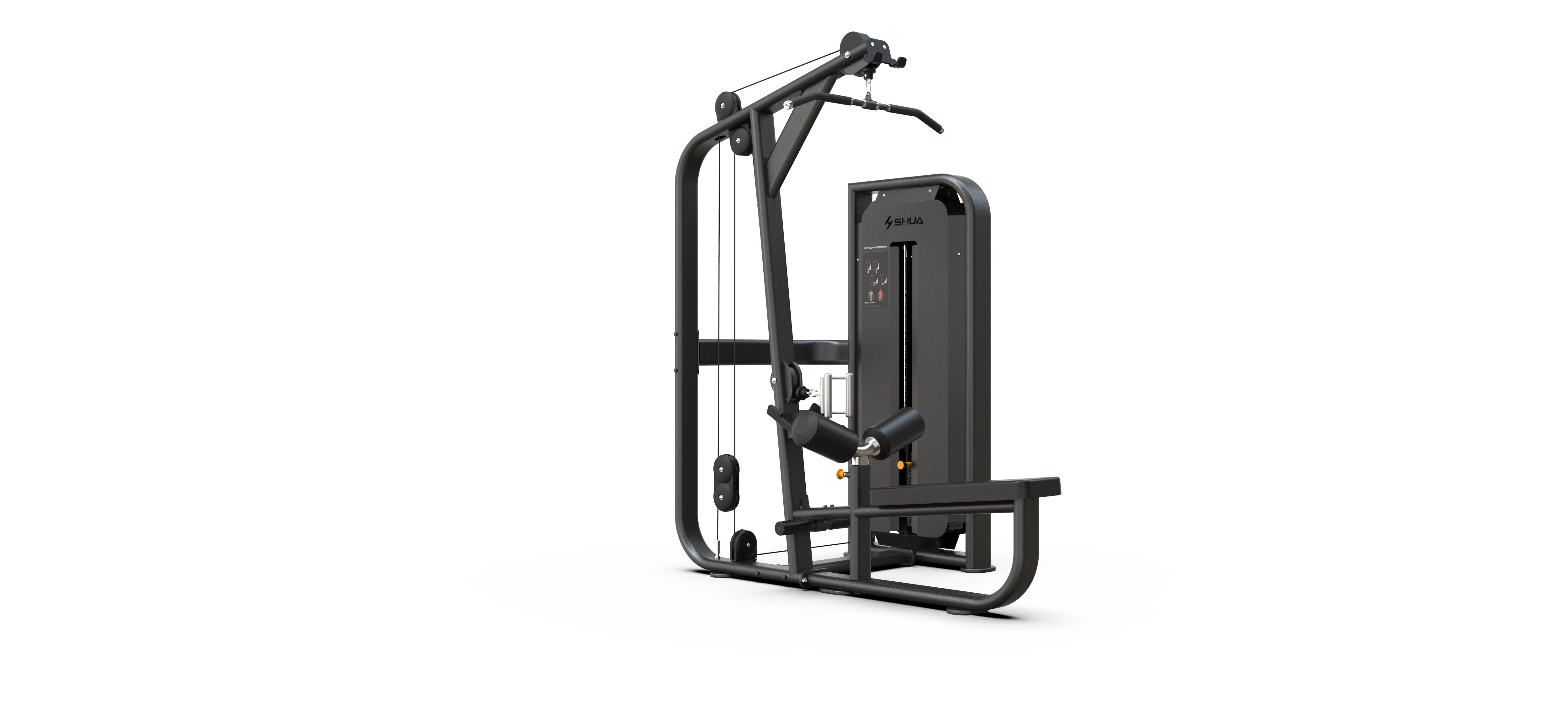 Lat Pulldown / Pulley Row