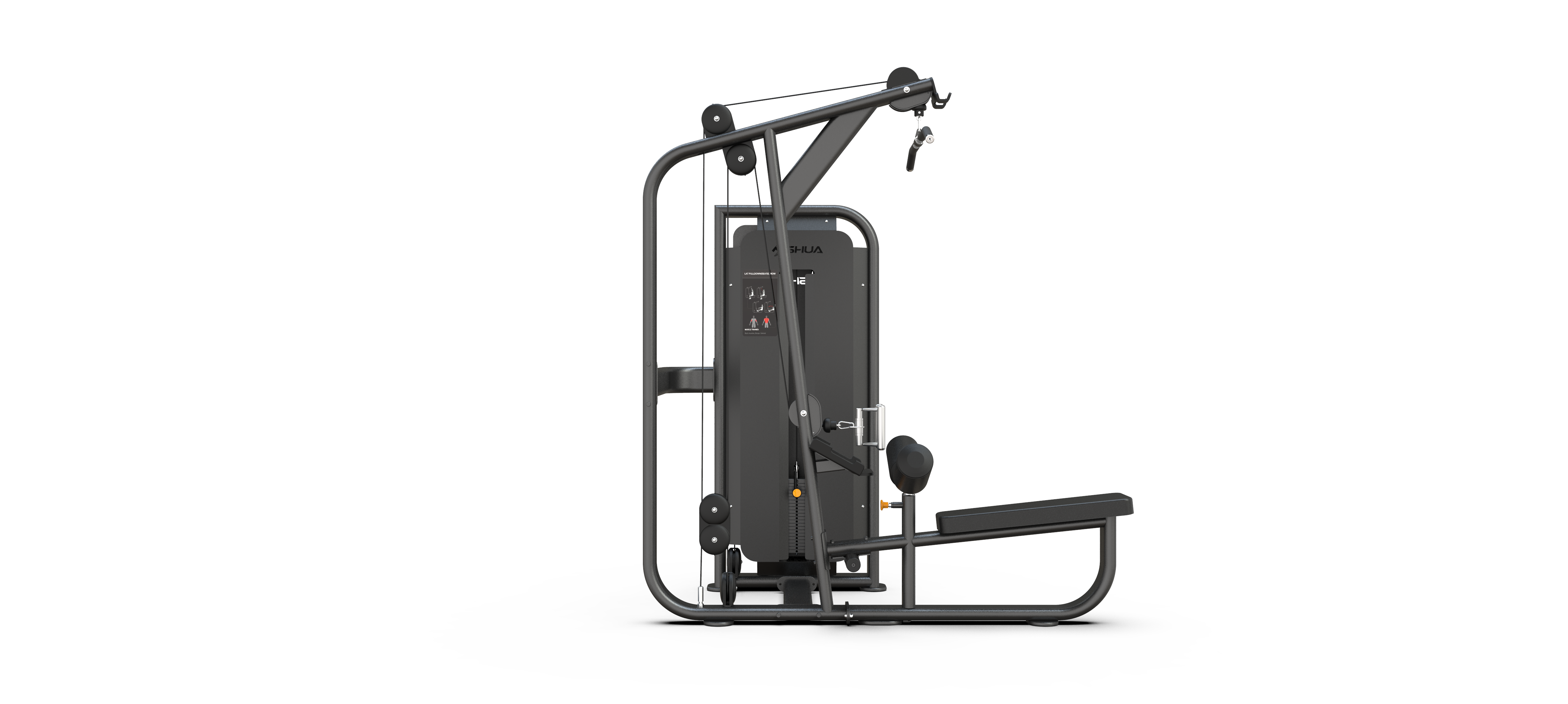 Lat Pulldown / Pulley Row