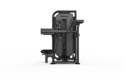 Lateral Raise Machine