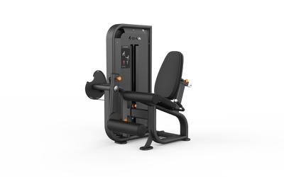 Leg Extension