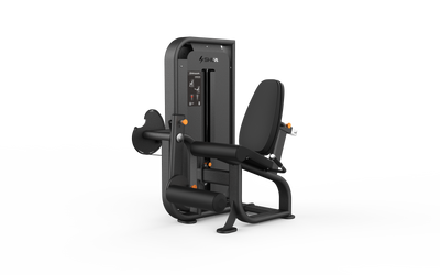 Leg Extension