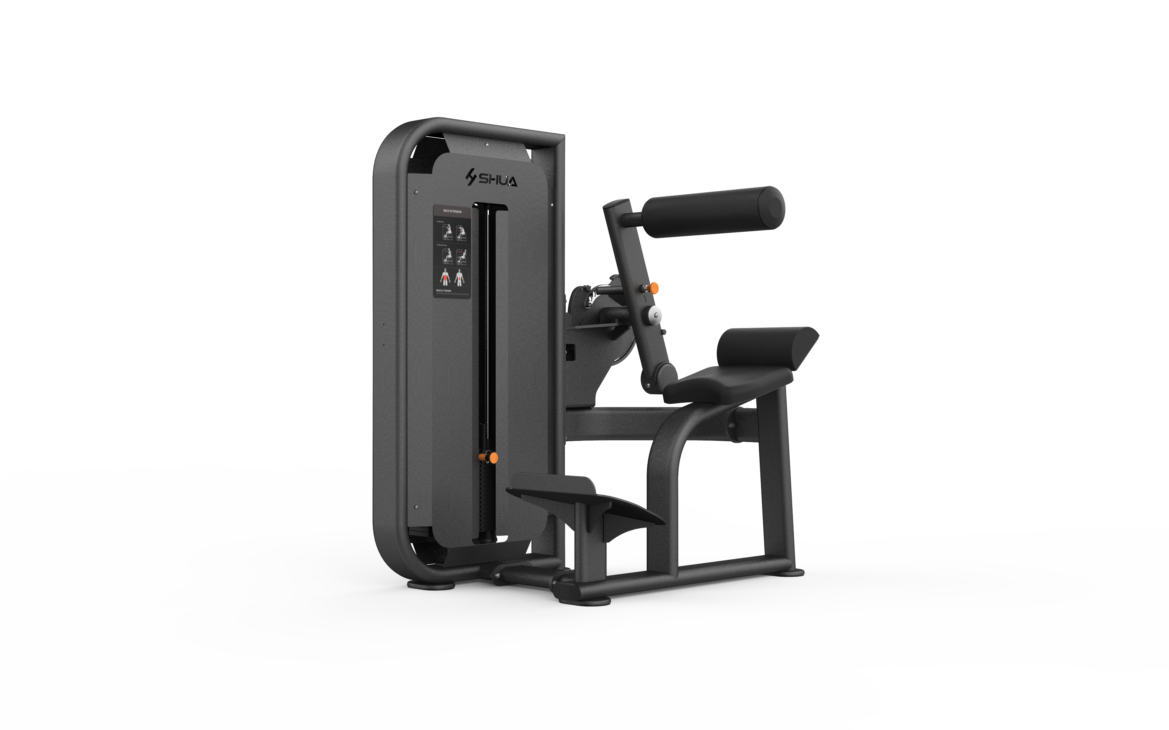 68 - Back Extension