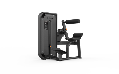 68 - Back Extension