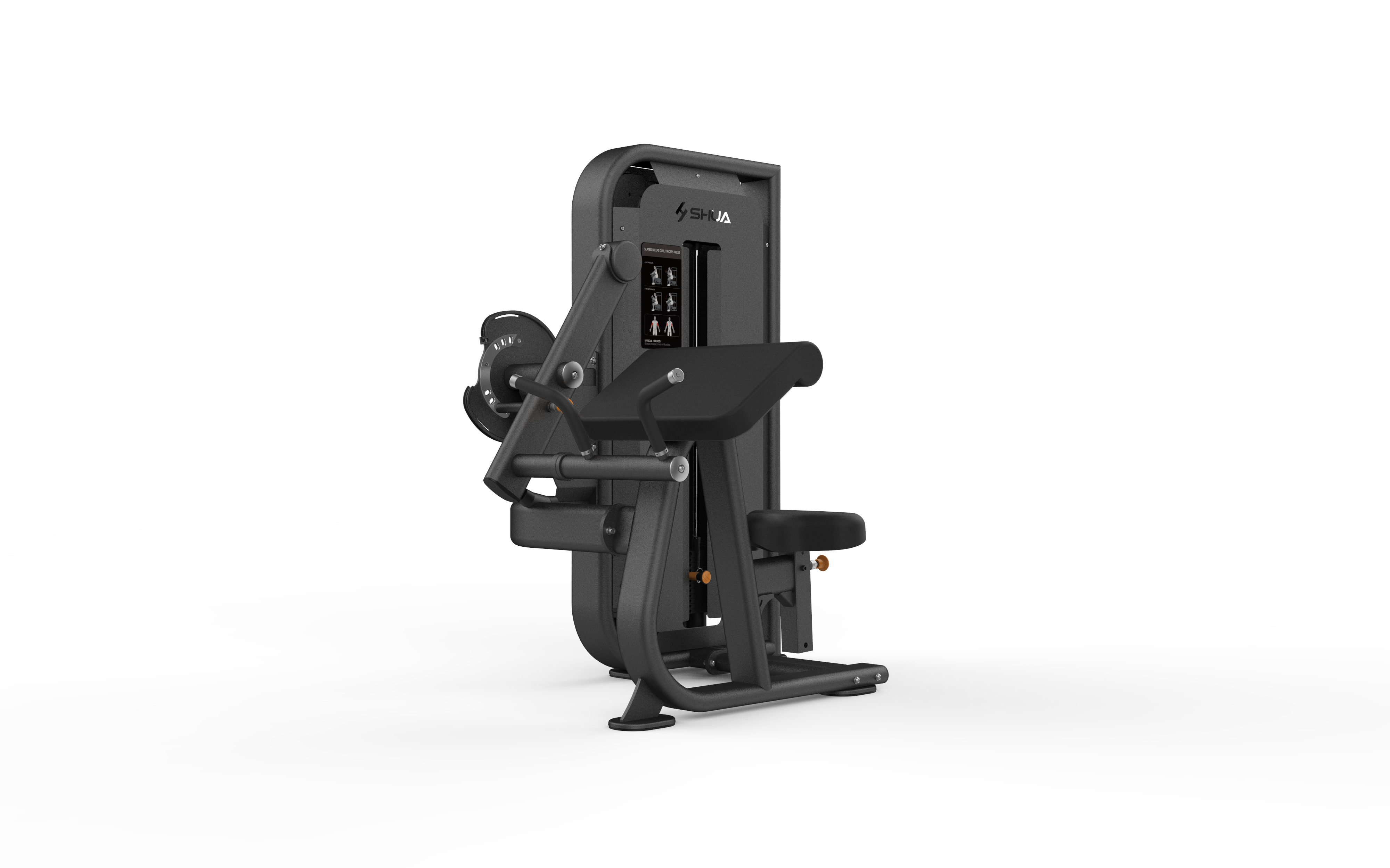 Seated Biceps Curl / Triceps Press