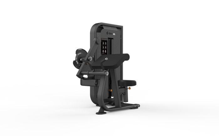 Seated Biceps Curl / Triceps Press