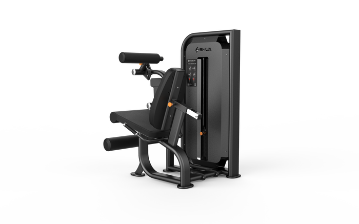 Seated Leg Curl / Extension