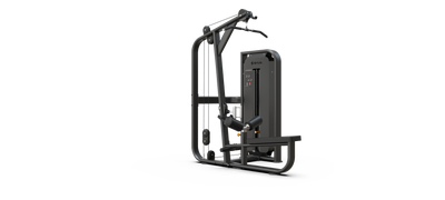 Lat Pulldown / Pulley Row