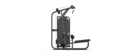 Lat Pulldown / Pulley Row
