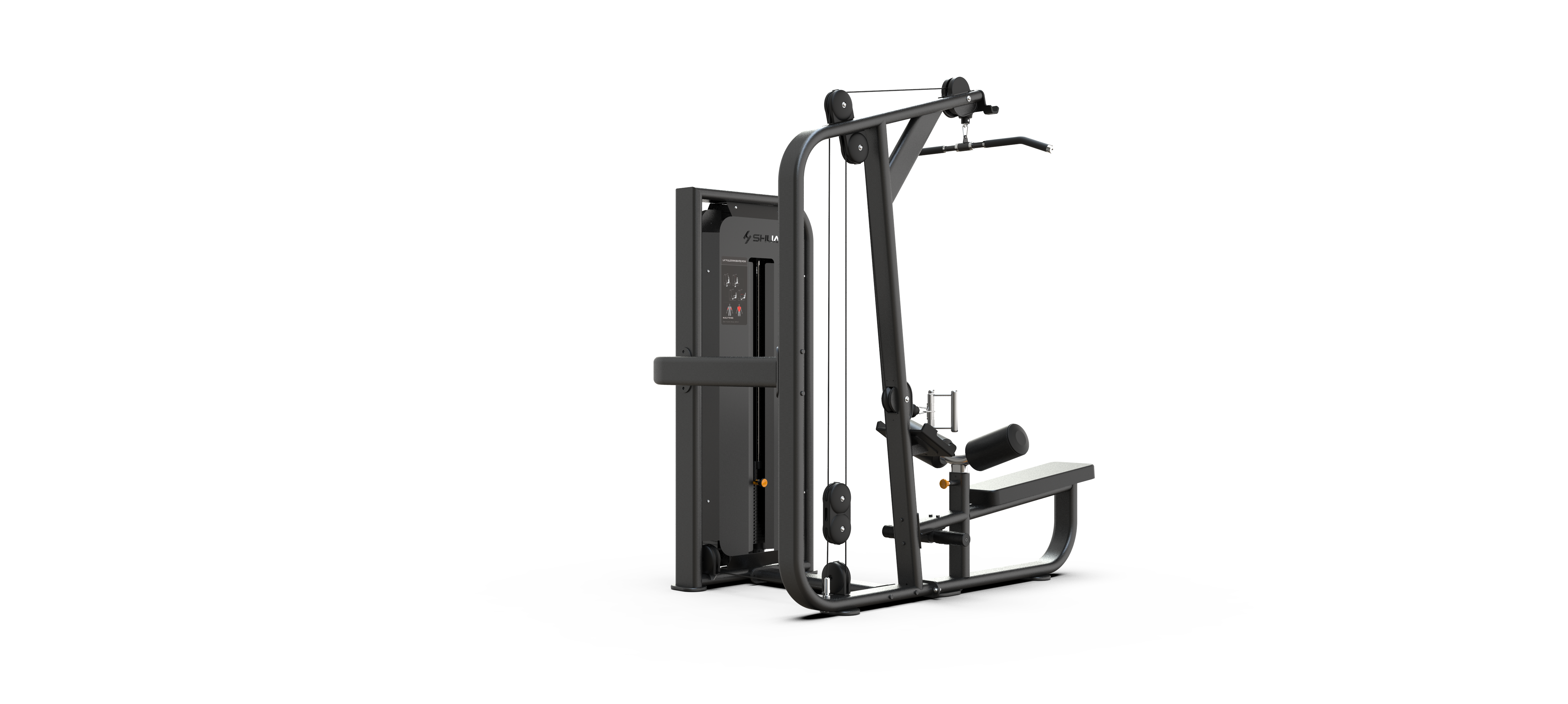 Lat Pulldown / Pulley Row