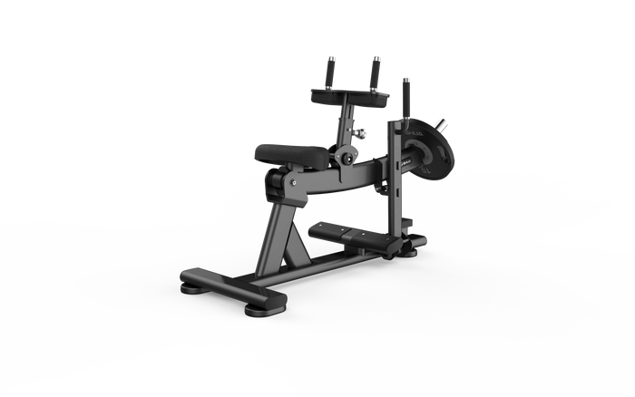 Seated Calf Raise - 6910