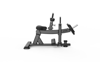 Seated Calf Raise